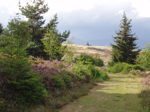 Grendelbruche-500p-1.jpg